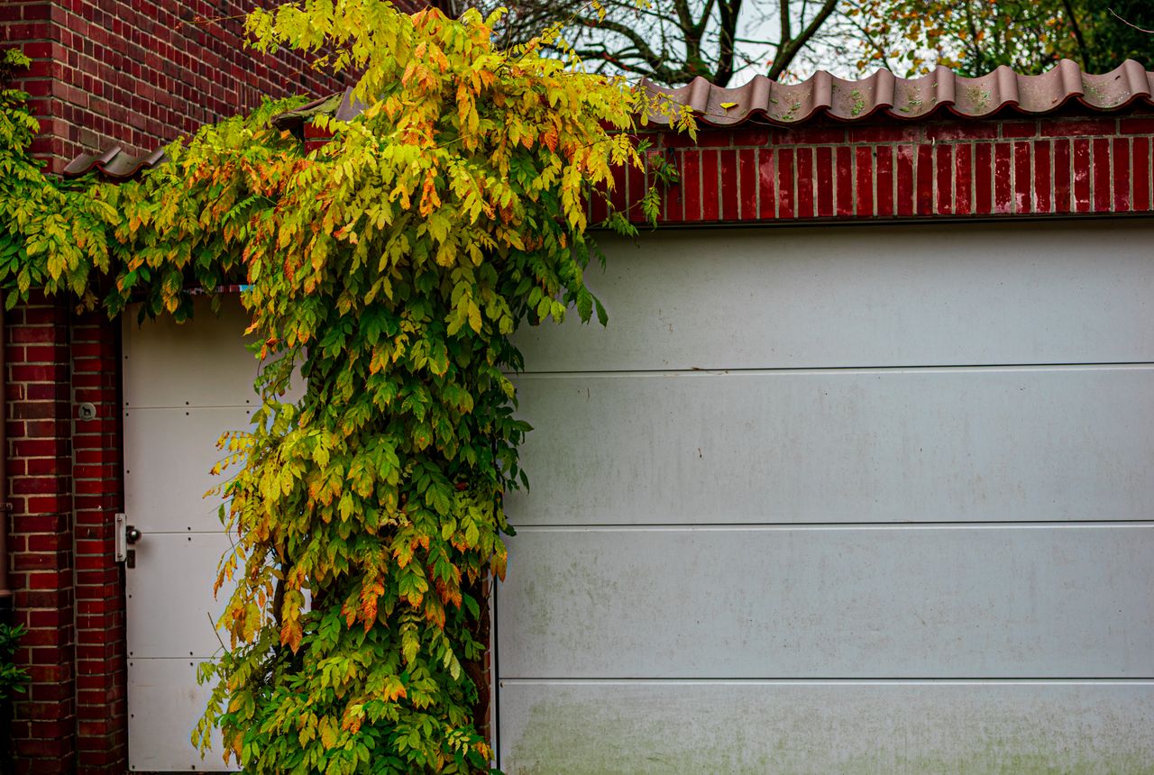 Garage door service in Cherry Hill, NJ